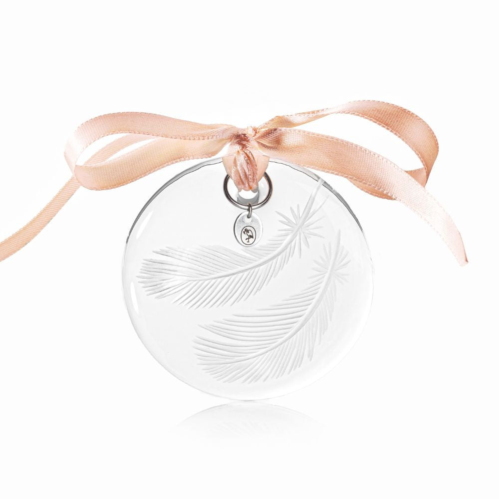 Vánoční ozdoba Feathers 6 cm clear