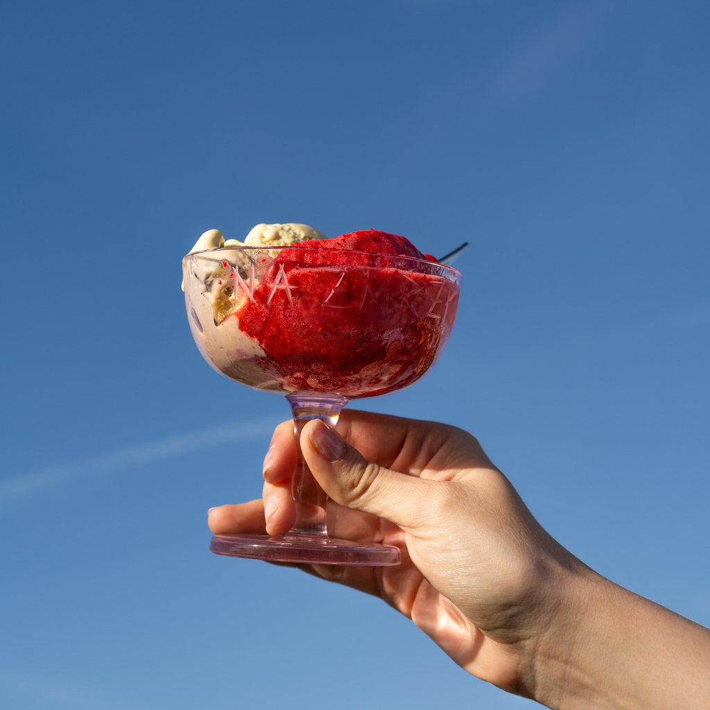Ice Cream Bowl NA ZMRZKU S