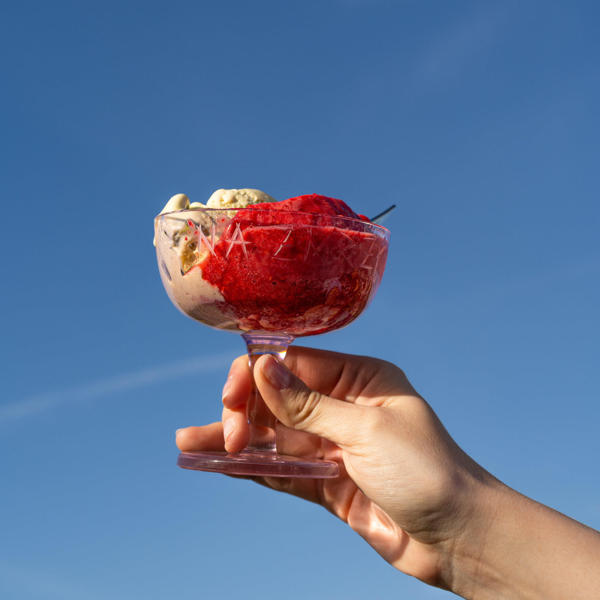 Ice Cream Bowl NA ZMRZKU S